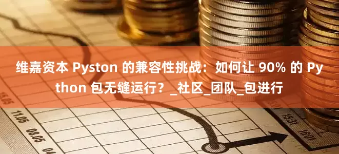 维嘉资本 Pyston 的兼容性挑战：如何让 90% 的 Python 包无缝运行？_社区_团队_包进行