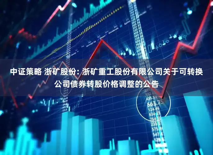中证策略 浙矿股份: 浙矿重工股份有限公司关于可转换公司债券转股价格调整的公告