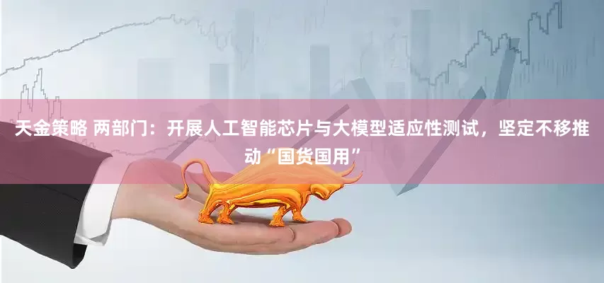 天金策略 两部门：开展人工智能芯片与大模型适应性测试，坚定不移推动“国货国用”